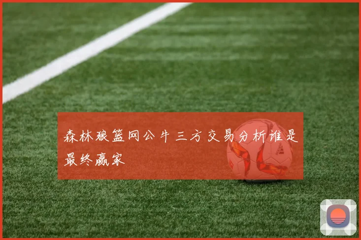 森林狼篮网公牛三方交易分析谁是最终赢家
