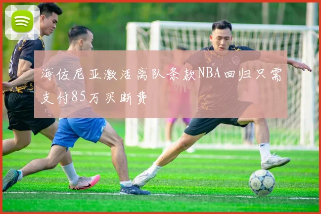海佐尼亚激活离队条款NBA回归只需支付85万买断费
